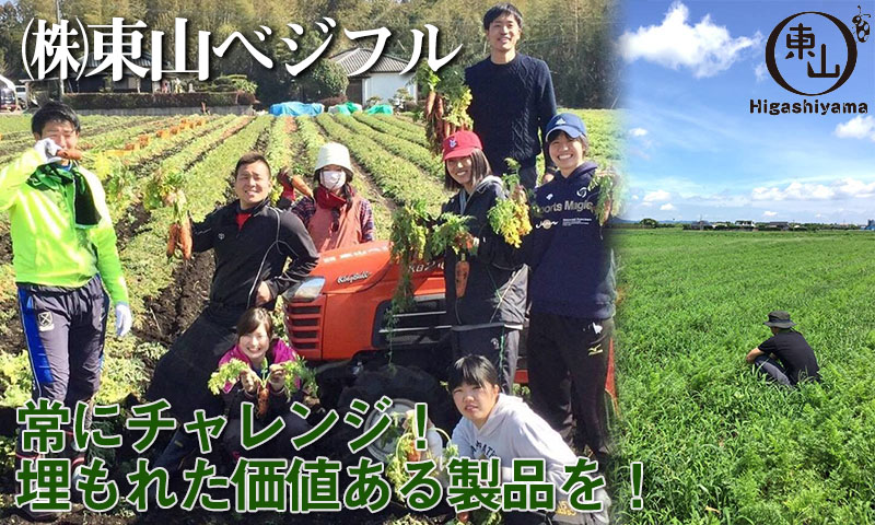 無農薬・自然農法・有機農産物などの産直通販 ふるさと21 / (株