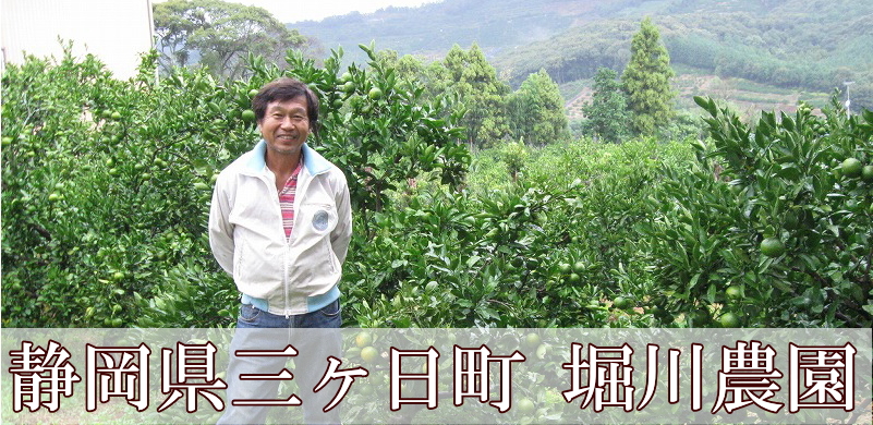 堀川農園 代表 堀川 敦司