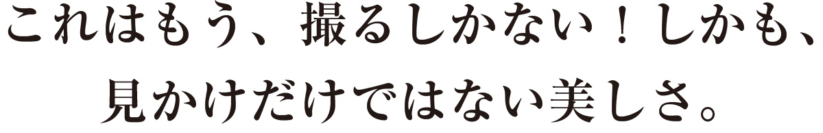 これはもう