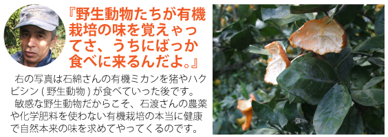 有機栽培を好む野生動物