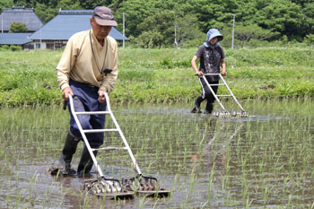 菊池農園