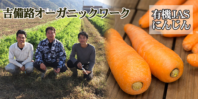 カテゴリトップ画像