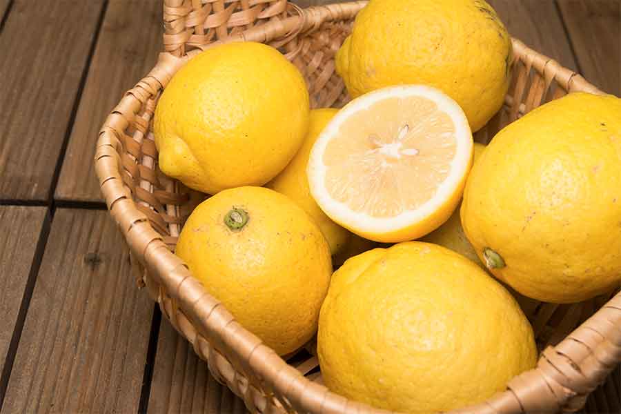 レモン類生産者 ｜ 無農薬・自然農法・有機農産物などの産直通販 ふるさと21