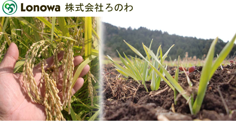 株式会社ろのわ(熊本県) ｜ 無農薬・自然農法・有機農産物などの産直通販 ふるさと21