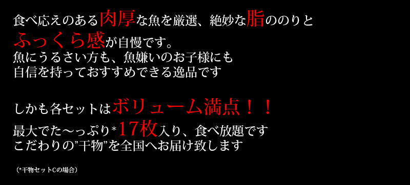 干物セット説明