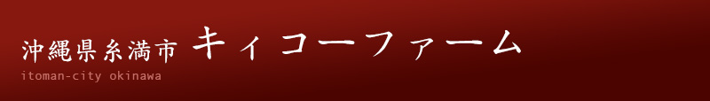 沖縄県糸満市　キィコーファーム