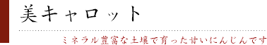美キャロット