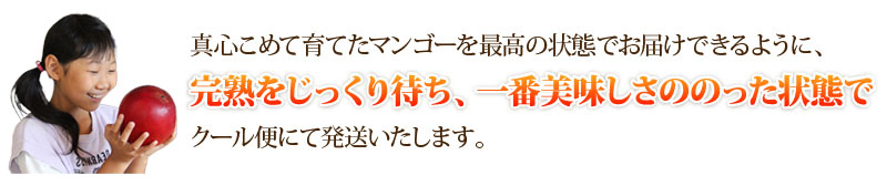 真心こめて育てたマンゴーを最高の状態でお届けできるように、完熟をじっくり待ち、一番美味しさののった状態でクール便にて発送いたします。
