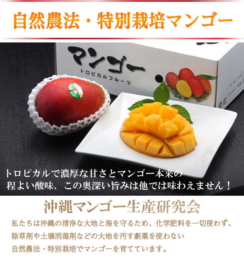 マンゴー生産者 無農薬 自然農法 有機農産物などの産直通販 ふるさと21