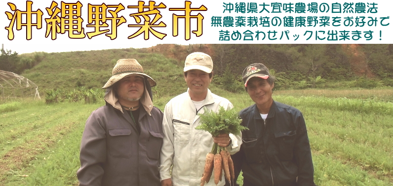 沖縄県野菜