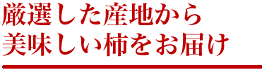 厳選した産地から美味しい柿をお届け