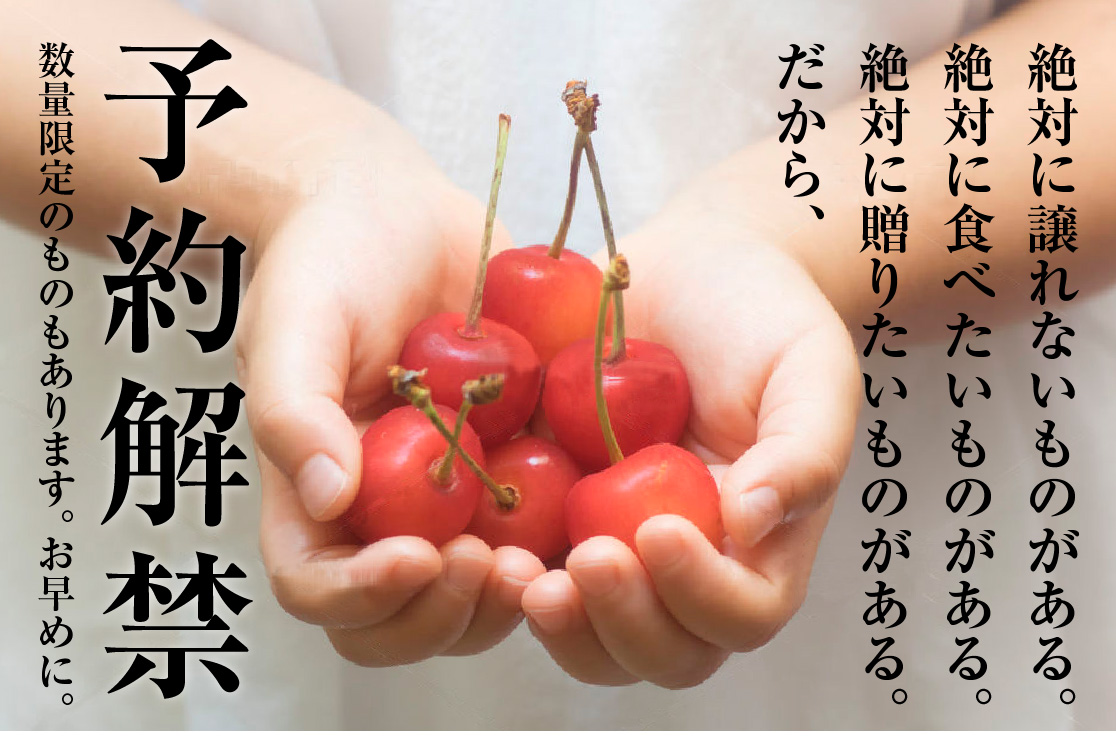カテゴリトップ画像