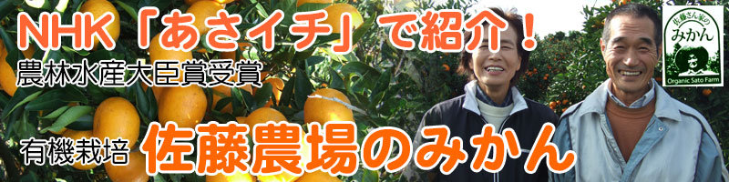 NHK「あさイチ」で紹介、有機栽培斉藤農場のみかん