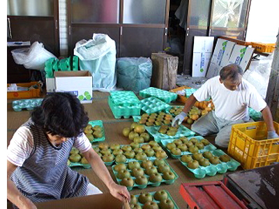 清野梨園