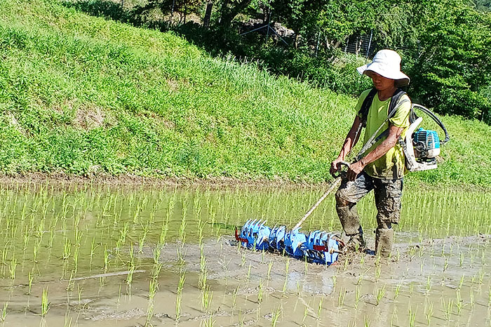 画像