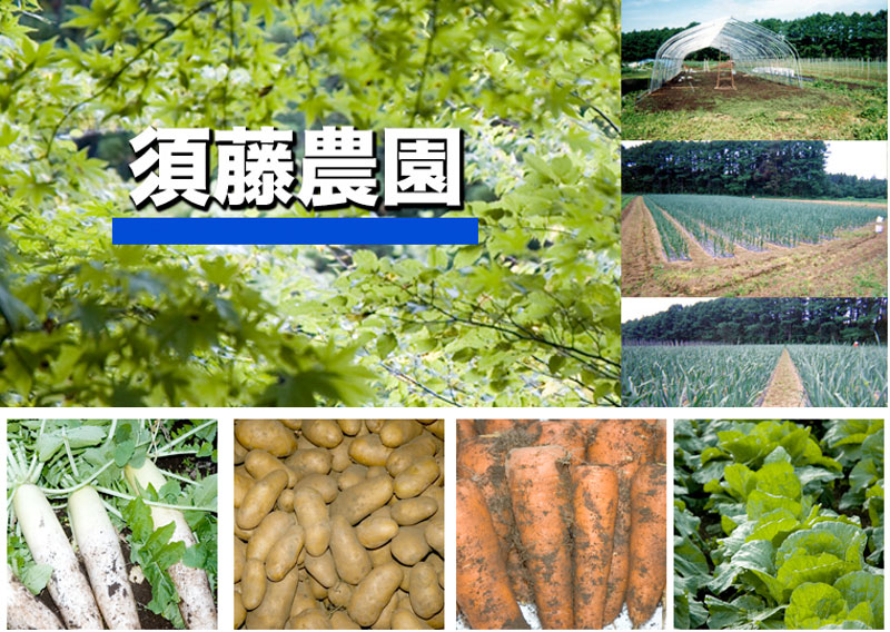 短形自然薯 ｜ 無農薬・自然農法・有機農産物などの産直通販 ふるさと21