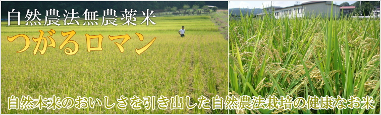 自然農法無農薬米『つがるロマン』