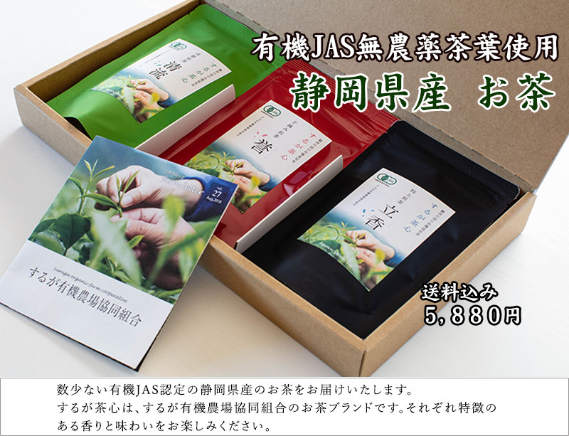 静岡県産　お茶セット