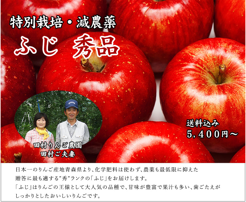 青森県産 ふじ 秀品