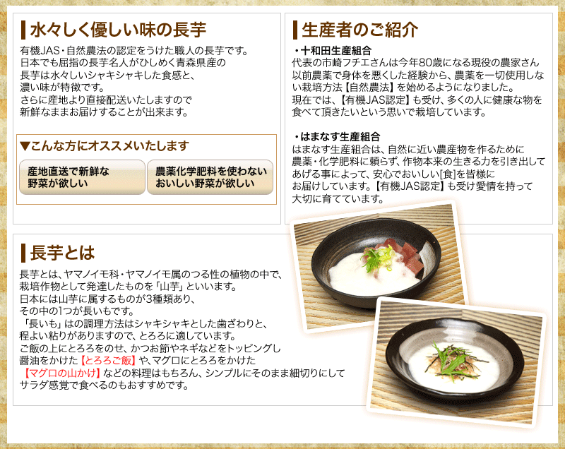 長芋の紹介