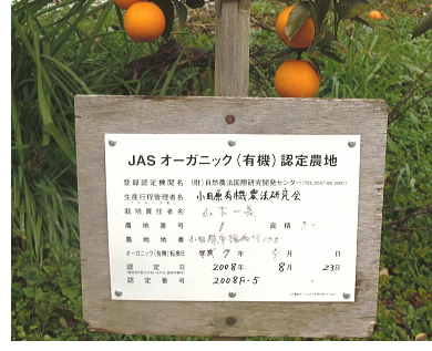 山下農園 代表 山下一美(小田原有機ＪＡＳみかん)