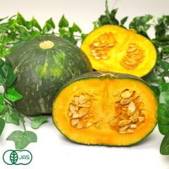 【小玉・ポイント2倍】有機かぼちゃ ほっとけ栗たん 10kg 有機JAS (山口県 めぐみ農園) 産地直送