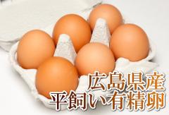【ポイント2倍】平飼い有精卵　6個×12パック(広島県　はやしなちゅらるふぁーむ)送料無料・産地直送・健康たまご
