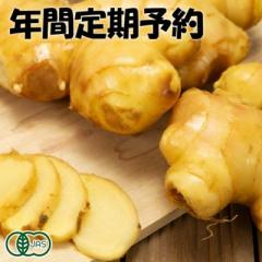 【年間定期予約:2/5受付〆切】限界突破ショウガ 1kg×12回 有機JAS (高知県 ラッキー農園) 生姜 しょうが 産地直送