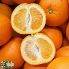 【B品・訳あり】 有機 はっさく 5kg 有機JAS (佐賀県 佐藤農場) 産地直送