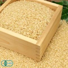 【令和7年度産・ポイント2倍】 銀河のしずく 玄米 10kg 有機JAS (岩手県 いわて大東有機) 産地直送