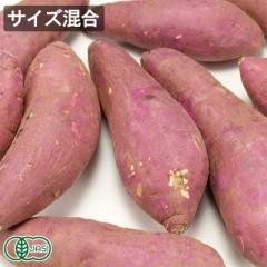 有機 さつまいも(紅はるか) 10kg 有機JAS (山口県 めぐみ農園) 産地直送