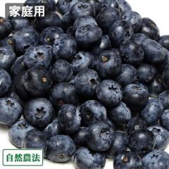 【予約・クール便・家庭用】生ブルーベリー 2kg 自然農法 (青森県 アグリメイト南郷) 産地直送