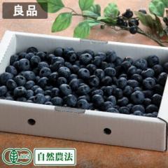 【予約・クール便・良品】有機 生ブルーベリー 1kg×2箱 有機JAS・自然農法 (青森県 根岸FARM) 産地直送