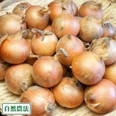 玉ねぎ3kg (2S〜3Sサイズ) 自然農法 (兵庫県淡路島 花岡農恵園) 産地直送