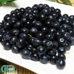 【ポイント2倍・クール便】 有機 ブルーベリー 生食用 2kg 有機JAS (神奈川県小田原 広石農園) 産地直送