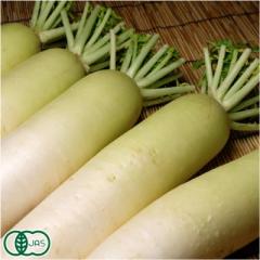 有機 大根 約8kg(6〜10本) 有機JAS (青森県 あおぞら農園)  産地直送