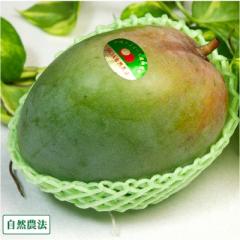 【数量限定】グリーンキーツ 秀品1～2玉 自然農法 (沖縄県 沖縄マンゴー生産研究会) 産地直送