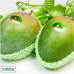 【数量限定】 グリーンキーツ 秀品2～3玉 自然農法 (沖縄県 沖縄マンゴー生産研究会) 産地直送