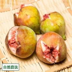 【予約・クール便】 イチジク蓬莱柿 秀品・ギフト用 300g×4パック 自然農法 (広島県 万汐農園) 産地直送 いちじく