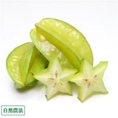 スターフルーツ 2kg 自然農法 (沖縄県 石垣島無農薬自然農場) 産地直送