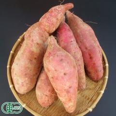 【セール・土付き】有機さつまいも 大(紅はるか) 2L～3Lサイズ 5kg 有機JAS (熊本県 那須自然農園) 産地直送 サツマイモ