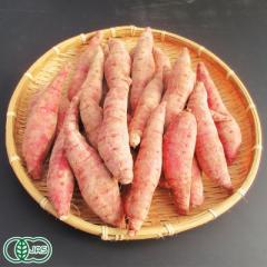 【大人気】有機おやつさつま芋(土付き) 10kg 有機JAS (熊本県 那須自然農園) さつまいも 産地直送