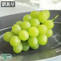 【クール便・訳あり・予約】完熟小粒シャインマスカット 約1kg 特別栽培 (宮城県 つるじい&JUNナチュラルファーム) 産地直送 ぶどう