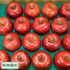 昴林 秀品5kg 特別栽培 (青森県 阿部農園) 産地直送