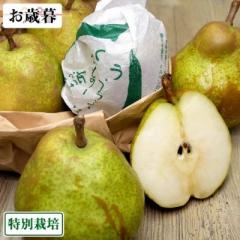 【お歳暮専用】特選ラ・フランス　贈答用大玉4〜5Lサイズ 約3kg 特別栽培 (山形県産 森谷果樹園) 産地直送
