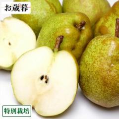 【お歳暮専用】ラ・フランス 贈答用約2kg 特別栽培 (山形県産 森谷果樹園) 産地直送