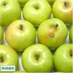【訳あり】 りんご 王林 10kg箱 特別栽培 (青森県 阿部農園) 産地直送