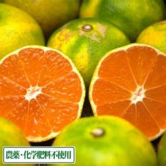 【AB品サイズ混合】 広島県産(とびしま) 早生みかん 3kg 無・無 (広島県 とびしま農園) 産地直送