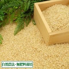 【令和7年度産】はるみ 玄米 20kg 自然農法 (徳島県 久米健文) 産地直送