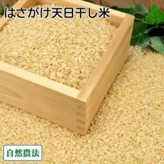 【令和7年度産】 田口さんちのはさがけ天日干し米(つがる) 玄米 5kg 自然農法 (青森県 だんごっこファーム) 産地直送